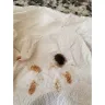 Breyers - Ball of black balled up hair found in the last servings of brewers rocky road ice cream 3/27/22 - Photo 2