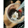 McDonald's - The dessert and meals - Photo 1