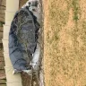 State Farm - Claim# 1331V397W - Photo 5