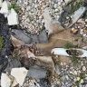 Innovative Landscaping - Unprofessional they are to deal with, and you can't count on them. - Photo 2