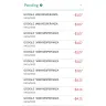 Google - Unauthorized charges - Photo 1