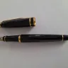 CactusCuisinePens - Waterman fountain pen