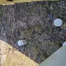 Aqua America - Sewer back up - Photo 1