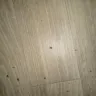Orkin - Bug control - Photo 1