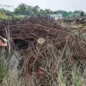 Sobha - Complaint regarding TMT and Ms Scrap purchase from Sobha Developers  Marina One,Cochin,Kerala. - Photo 2