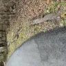 AmeriGas Propane - property damage - Photo 1