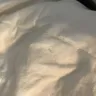Blue Ridge Home Fashions - Serta down duvet (queen)