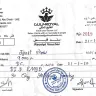 Gulf Royal Travels & Tourism - 9000 Aed 30 days holiday scam 