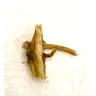 General Mills - Progresso Vegetarian Vegetable soup - Photo 1