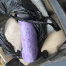 SCS - The fitters were vile  - Photo 4