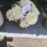 Avas Flowers - Unacceptable sympathy flower arrangement