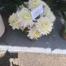 Avas Flowers - Unacceptable sympathy flower arrangement - Photo 1