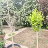 Gardening Express - Customer service - Photo 1