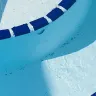 Florida Pool Guys - Paint chipping within a week and repainting