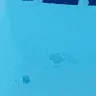 Florida Pool Guys - Paint chipping within a week and repainting - Photo 1