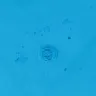 Florida Pool Guys - Paint chipping within a week and repainting - Photo 4