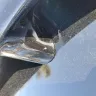 Maaco Franchise - Bad paint job - Photo 2