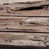 Yella Wood / Great Southern Wood Preserving - Micronized copper azole ground contact 0.15pcf completely rotted in less than 4 years on above ground deck