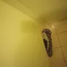 Days Inn - Nasty hotel room - Photo 2