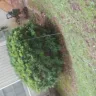 Georgia Power - Tore and left cable line down and exposed at my home - Photo 2