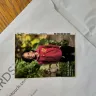 Lifetouch - School pictures - Photo 1
