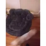 Absolut Pet - dog bed  - Photo 1