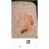 Woolworths South Africa - Product quality  - Photo 1