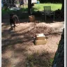 Amazon - Delivery - Photo 1