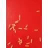 Tiger Brands - Tastic rice 2 kg - Photo 1