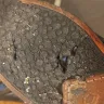 Clarks - Clarks shoes.fell apart 