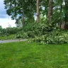 Asplundh Tree Expert - Duke power sent them to trim trees. Horrible job and destroyed my garden - Photo 3