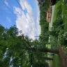 Asplundh Tree Expert - Duke power sent them to trim trees. Horrible job and destroyed my garden - Photo 12
