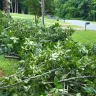 Asplundh Tree Expert - Duke power sent them to trim trees. Horrible job and destroyed my garden - Photo 4
