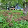 Asplundh Tree Expert - Duke power sent them to trim trees. Horrible job and destroyed my garden - Photo 17