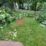 Asplundh Tree Expert - Duke power sent them to trim trees. Horrible job and destroyed my garden - Photo 6