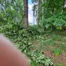 Asplundh Tree Expert - Duke power sent them to trim trees. Horrible job and destroyed my garden - Photo 8