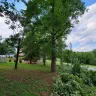 Asplundh Tree Expert - Duke power sent them to trim trees. Horrible job and destroyed my garden - Photo 13