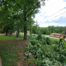Asplundh Tree Expert - Duke power sent them to trim trees. Horrible job and destroyed my garden - Photo 14