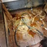 McDonald's - The filth in your stores.
