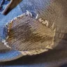 Levi Strauss & Co. - Wow they fall apart fast