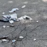 Waste Management [WM] - Garbage pickup - Photo 1