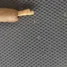 Thompson Cigar - Thompson cigar - chicken bone embedded in cigar