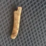 Thompson Cigar - Thompson cigar - chicken bone embedded in cigar