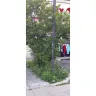 Family Dollar - Poor exterior maintenance - Photo 1