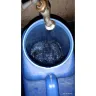 Maynilad Water Services - Water interruption for almost 1 year