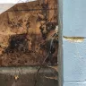 DaBella Exteriors - Siding - Photo 1