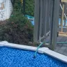 LinerWorld - Defective pool liner