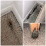 Edward Rose & Sons - The worst apartment experience in my life... I regret everything - Photo 4