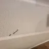 Aaron's - Damage To My House - Photo 1