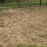 TruGreen - Lawn care - Photo 1